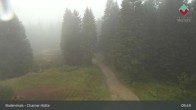 Archiv Foto Webcam Bodenmais - Schutzhütte Kl. Arber/Chamer Hütte 09:00
