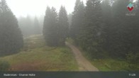 Archiv Foto Webcam Bodenmais - Schutzhütte Kl. Arber/Chamer Hütte 10:00
