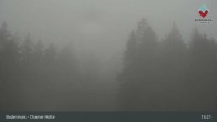 Archiv Foto Webcam Bodenmais - Schutzhütte Kl. Arber/Chamer Hütte 12:00