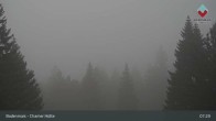 Archiv Foto Webcam Bodenmais - Schutzhütte Kl. Arber/Chamer Hütte 06:00