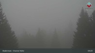Archiv Foto Webcam Bodenmais - Schutzhütte Kl. Arber/Chamer Hütte 08:00