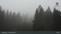 Archiv Foto Webcam Bodenmais - Schutzhütte Kl. Arber/Chamer Hütte 09:00
