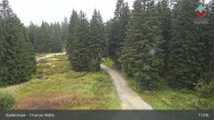 Archiv Foto Webcam Bodenmais - Schutzhütte Kl. Arber/Chamer Hütte 10:00