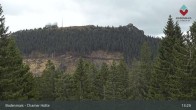 Archiv Foto Webcam Bodenmais - Schutzhütte Kl. Arber/Chamer Hütte 12:00