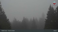 Archiv Foto Webcam Bodenmais - Schutzhütte Kl. Arber/Chamer Hütte 09:00