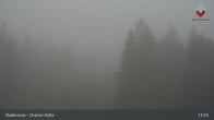Archiv Foto Webcam Bodenmais - Schutzhütte Kl. Arber/Chamer Hütte 12:00