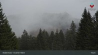 Archiv Foto Webcam Bodenmais - Schutzhütte Kl. Arber/Chamer Hütte 14:00