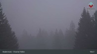 Archived image Webcam Bodenmais - Shelter Chamer Hut 18:00