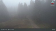 Archiv Foto Webcam Bodenmais - Schutzhütte Kl. Arber/Chamer Hütte 07:00
