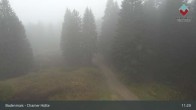 Archiv Foto Webcam Bodenmais - Schutzhütte Kl. Arber/Chamer Hütte 10:00