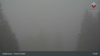 Archiv Foto Webcam Bodenmais - Schutzhütte Kl. Arber/Chamer Hütte 14:00