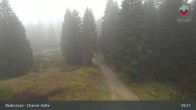 Archiv Foto Webcam Bodenmais - Schutzhütte Kl. Arber/Chamer Hütte 08:00