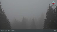 Archiv Foto Webcam Bodenmais - Schutzhütte Kl. Arber/Chamer Hütte 10:00