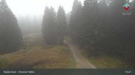 Archiv Foto Webcam Bodenmais - Schutzhütte Kl. Arber/Chamer Hütte 12:00