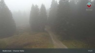 Archiv Foto Webcam Bodenmais - Schutzhütte Kl. Arber/Chamer Hütte 16:00