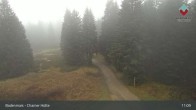 Archiv Foto Webcam Bodenmais - Schutzhütte Kl. Arber/Chamer Hütte 11:00