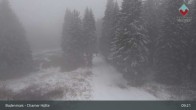 Archiv Foto Webcam Bodenmais - Schutzhütte Kl. Arber/Chamer Hütte 08:00