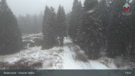 Archiv Foto Webcam Bodenmais - Schutzhütte Kl. Arber/Chamer Hütte 12:00