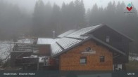Archived image Webcam Bodenmais - Shelter Chamer Hut 08:00