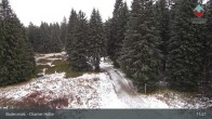Archived image Webcam Bodenmais - Shelter Chamer Hut 10:00