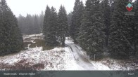 Archived image Webcam Bodenmais - Shelter Chamer Hut 14:00