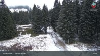 Archived image Webcam Bodenmais - Shelter Chamer Hut 16:00