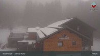 Archiv Foto Webcam Bodenmais - Schutzhütte Kl. Arber/Chamer Hütte 08:00