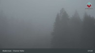 Archived image Webcam Bodenmais - Shelter Chamer Hut 07:00