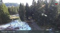 Archiv Foto Webcam Bodenmais - Schutzhütte Kl. Arber/Chamer Hütte 10:00