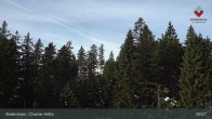 Archiv Foto Webcam Bodenmais - Schutzhütte Kl. Arber/Chamer Hütte 08:00