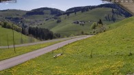 Archiv Foto Webcam Münstertal-Wieden: Heidsteinlift 09:00