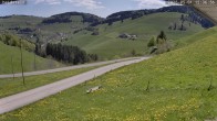 Archiv Foto Webcam Münstertal-Wieden: Heidsteinlift 11:00