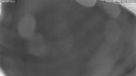Archived image Webcam Münstertal-Wieden: Heidstein Lift 01:00