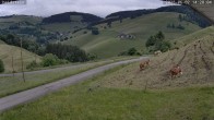 Archived image Webcam Münstertal-Wieden: Heidstein Lift 13:00