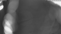Archiv Foto Webcam Münstertal-Wieden: Heidsteinlift 03:00