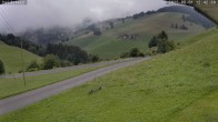 Archiv Foto Webcam Münstertal-Wieden: Heidsteinlift 11:00