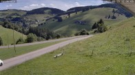Archiv Foto Webcam Münstertal-Wieden: Heidsteinlift 11:00