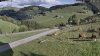 Archived image Webcam Münstertal-Wieden: Heidstein Lift 14:00