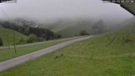 Archiv Foto Webcam Münstertal-Wieden: Heidsteinlift 07:00