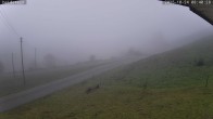 Archiv Foto Webcam Münstertal-Wieden: Heidsteinlift 07:00