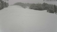 Archived image Webcam Münstertal-Wieden: Wiedenereck lift 13:00