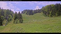 Archiv Foto Webcam Haldenköpfle - Blick auf Lift1 11:00