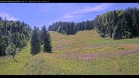 Archiv Foto Webcam Haldenköpfle - Blick auf Lift1 13:00