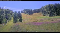 Archived image Webcam Haldenköpfle mountain - Lift 1 13:00