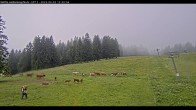 Archived image Webcam Haldenköpfle Mountain - Lift 2 11:00