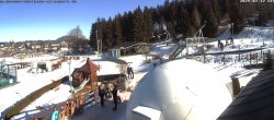 Archiv Foto Altenberg: Webcam Sommerrodelbahn 11:00