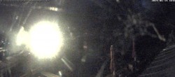 Archiv Foto Altenberg: Webcam Sommerrodelbahn 21:00