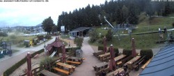 Archiv Foto Altenberg: Webcam Sommerrodelbahn 11:00