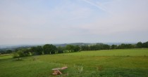 Archiv Foto Webcam Panoramablick Vogelschmiede auf der Herchenhainer Höhe 05:00