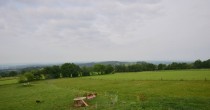 Archiv Foto Webcam Panoramablick Vogelschmiede auf der Herchenhainer Höhe 06:00